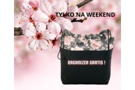 ORGANIZER GRATIS !